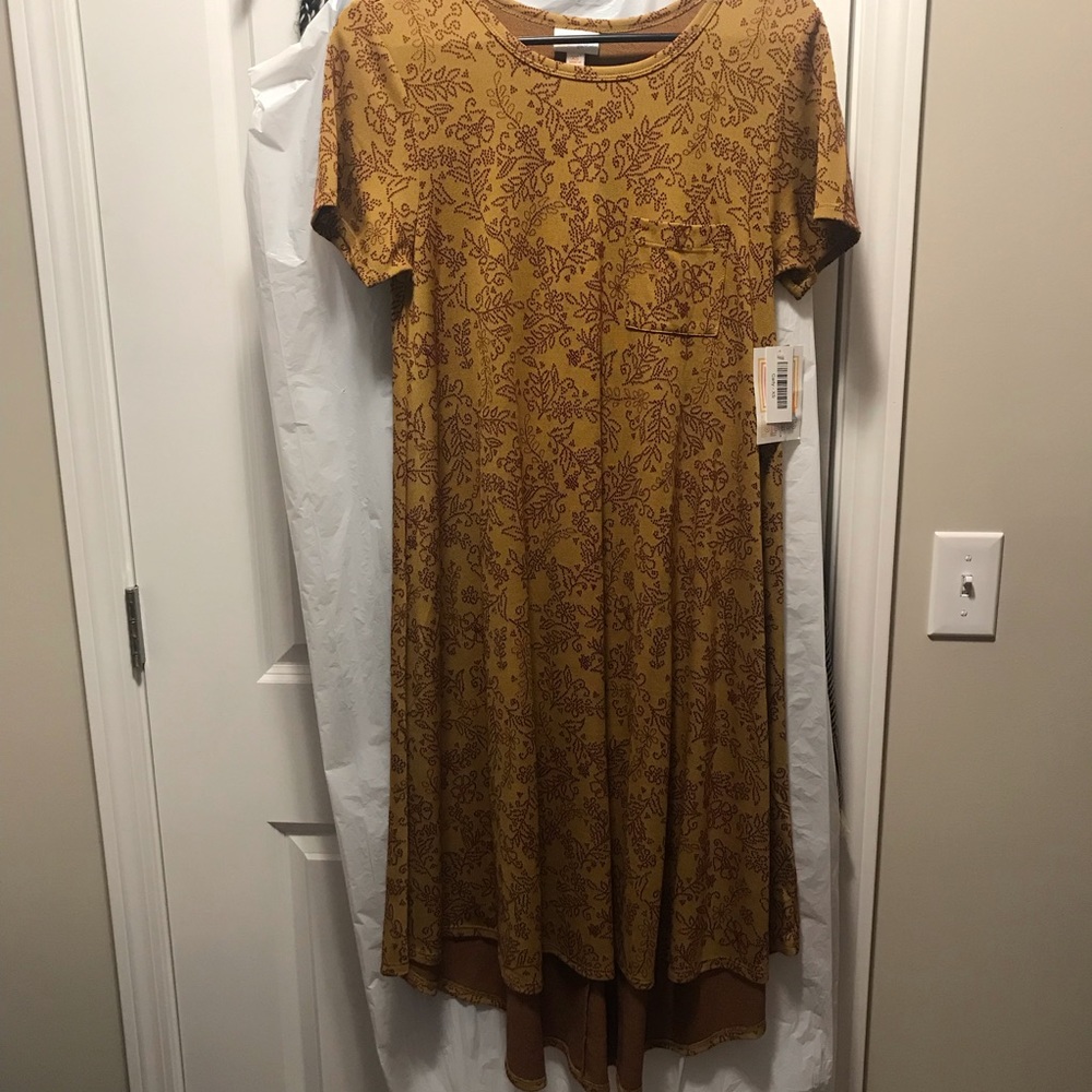 LulaRoe Carly dress